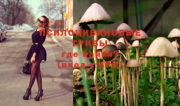 ешки Алексеевка