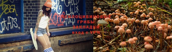 ешки Алексеевка